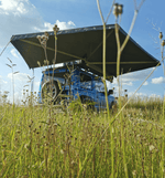 Load image into Gallery viewer, Ostrich Wing Jr Awning