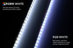 Load image into Gallery viewer, RGBW Multicolor Flexible 5050 SMD LED Strip
