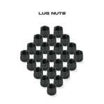 Load image into Gallery viewer, Lug Nuts (24x)
