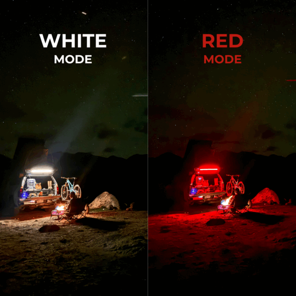 F Series 12" Light - Image 2